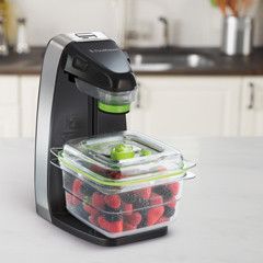 Foodsaver Freshsaver Vacuumsealer voor zip-zakken en dozen FSV010