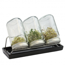 kiemglas 3x1000ml met houder en druppelschaal antraciet