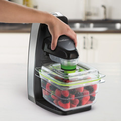 foodsaver freshsaver doos